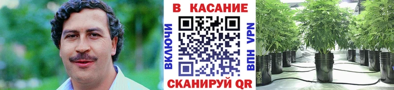 Купить Кокаин  Мефедрон  СОЛЬ  Галлюциногенные грибы  БУТИРАТ  Канабис  ГАШИШ  Нижний Новгород
