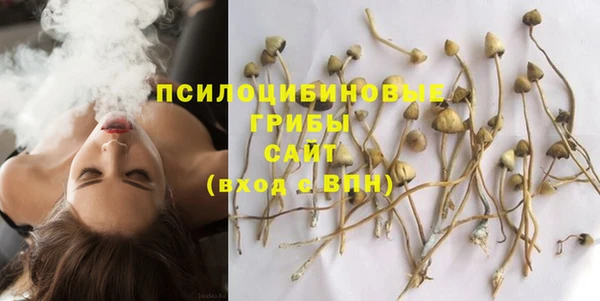 синтетический гашиш Алексин