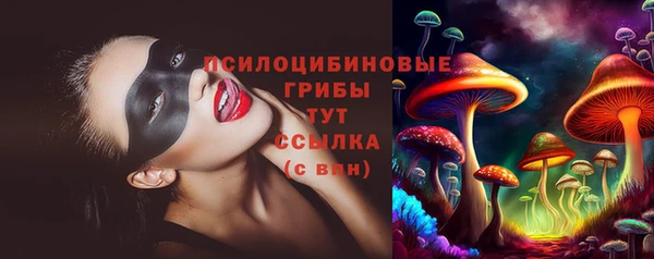 крисы Алзамай