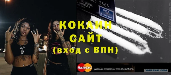 крисы Алзамай