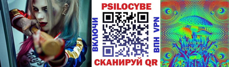 Псилоцибиновые грибы GOLDEN TEACHER  Купить где  Нижний Новгород 